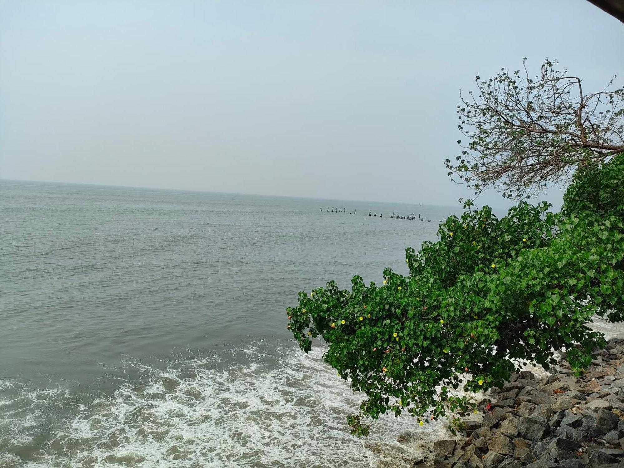 Coastal Den Homestay Pallipuram Exteriör bild